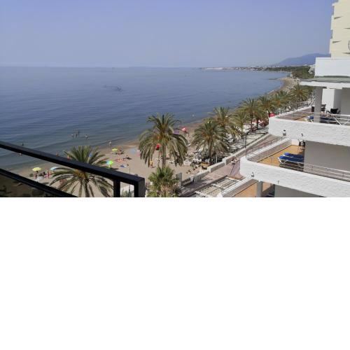 Skol 230C by Completely Marbella