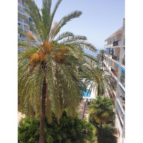 Skol 837B by Completely Marbella