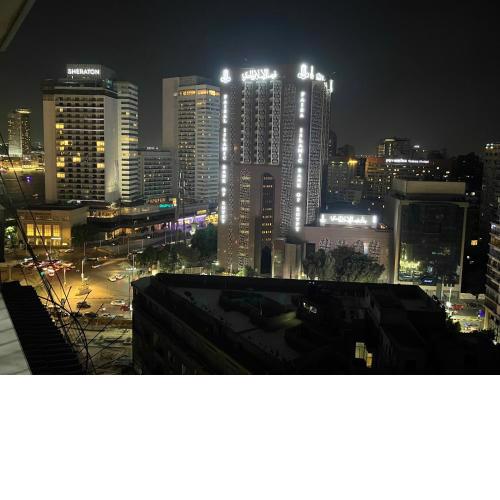 Skyscraper apartment with Nile & Pyramids view