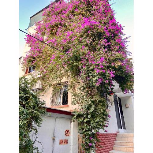 Small House