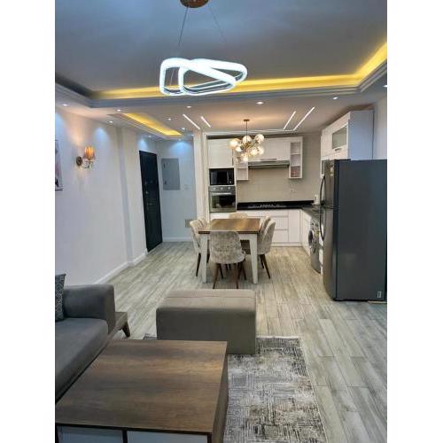 Smart apartment with luxury furnitur