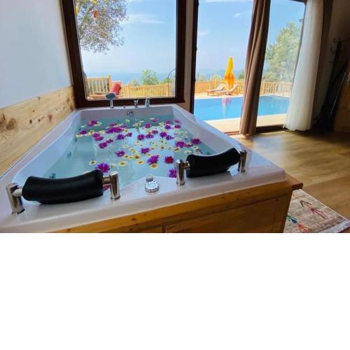 Sofia bungalow sea and nature wiev