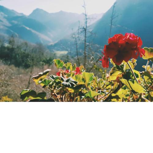 Sol de Asturias