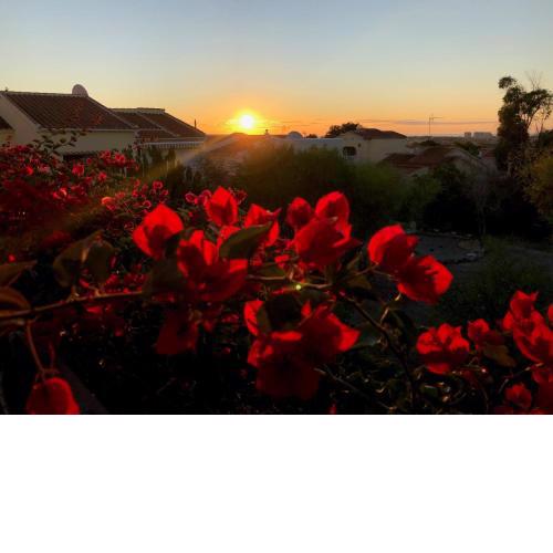 Sonniges Apartment an der Costa Blanca
