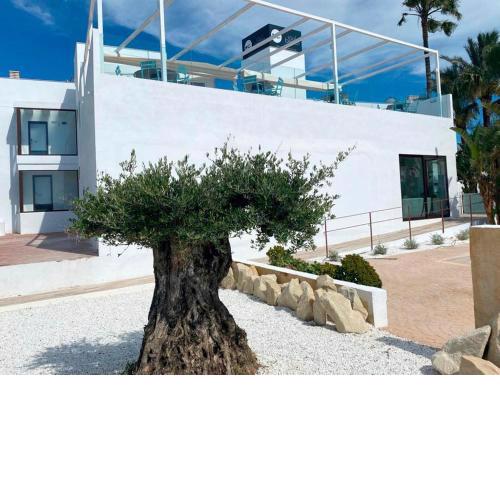 Soul Beach Hotel By Mc - Adults Recommended