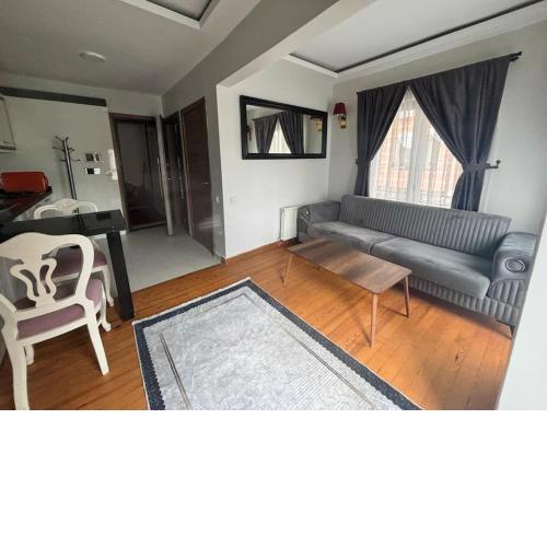 Spacious and Cozy Flat near Taksim Square no3