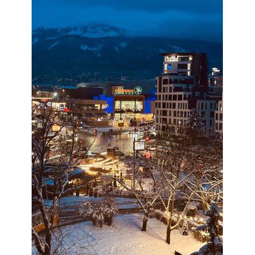 Spacious apartment with a Mountain view, big balcony and parking