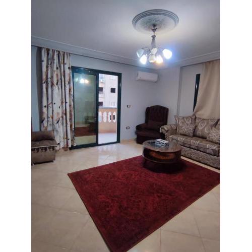 Spacious apartment with Nile view