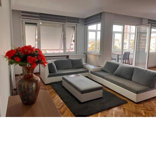 Spacious flat with wide view