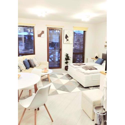 Spacious luxury studio with mountain view - SPA available