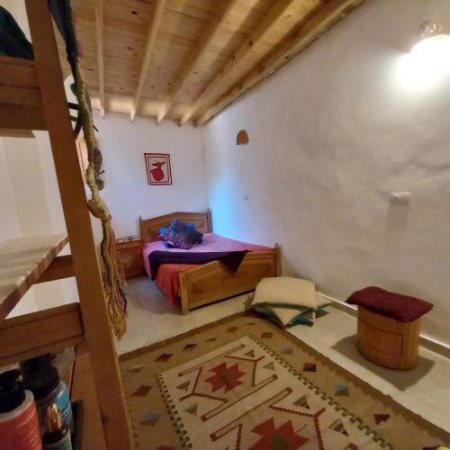 Special cozy studio assala
