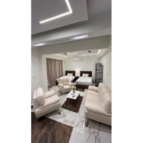 Special studio in private villa in new cairo 90 street villa 255 Panafsig 11