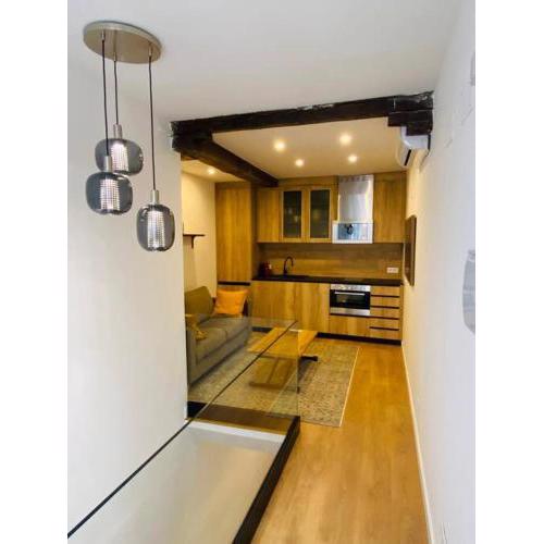 Spectacular apartment Atocha-SOLER