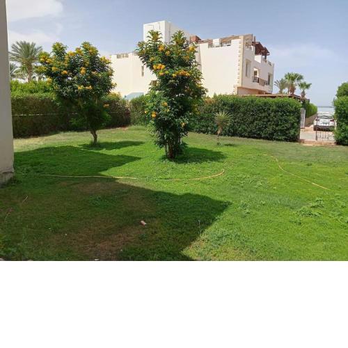 SS-1771 five bedroom villa in Oyoun Amwaj Hotel beach front