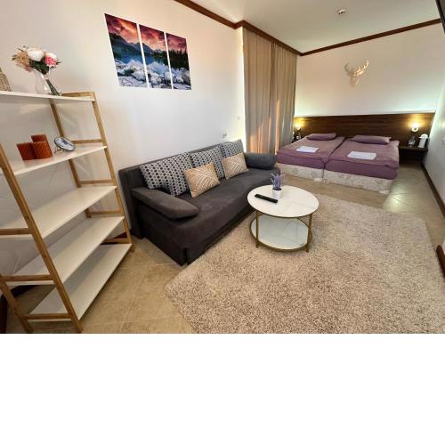 St Ivan Rilski SPA & Pool Studio