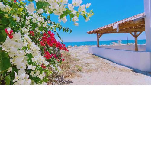 STAY Sea Gem House