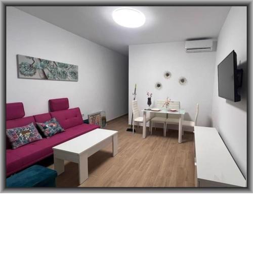 StS Pet Friendly Playa