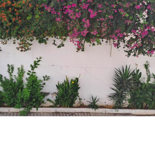 studio coquet chez LOU - Marsa