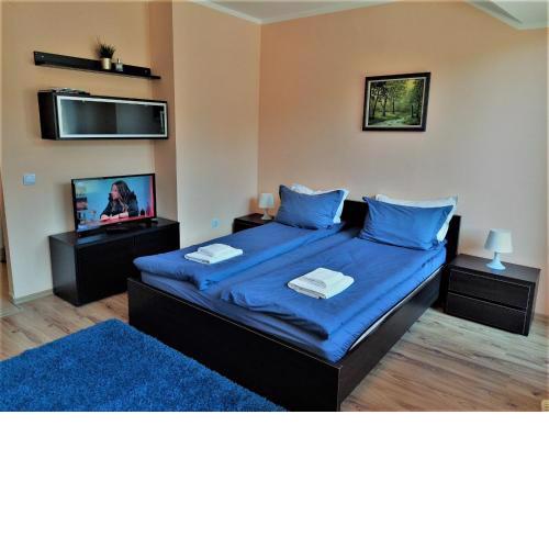Studio D-55 in Borovets Gardens hotel
