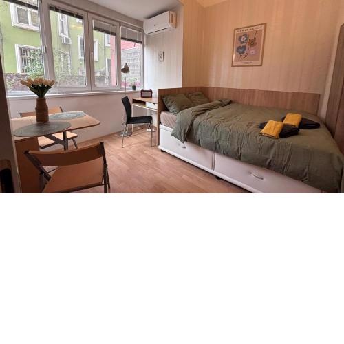 Studio in the heart of Sofia