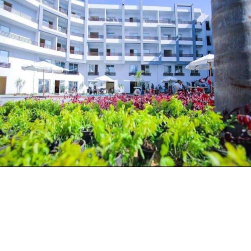 Studio near Marina and ELAlamein, No Beach