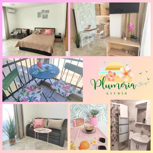 Студио Плумерия / Studio Plumeria