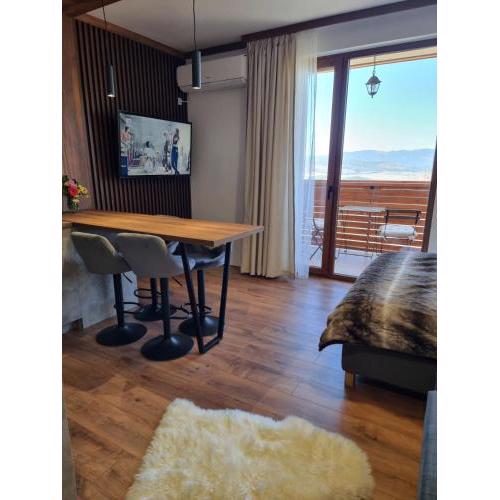 Studio Todorka
