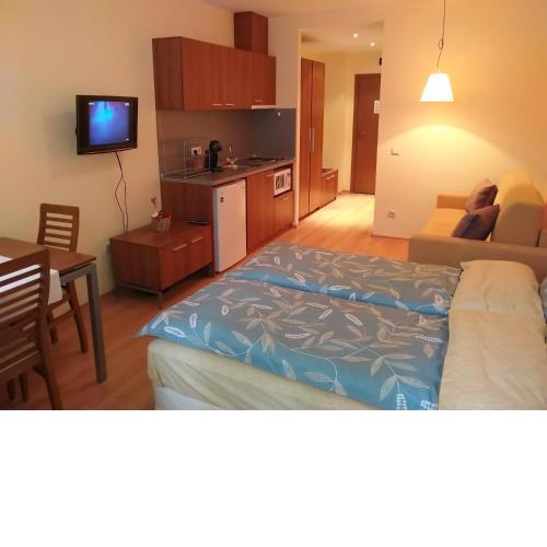 Studio Villa Park 207
