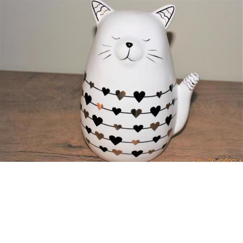 Studio White Cat