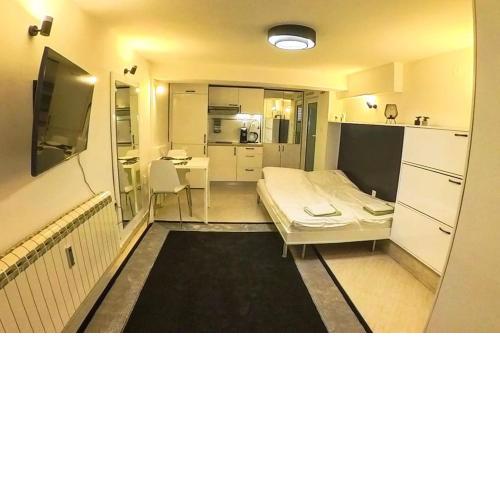 Studio with Courtyard Just Steps Away Vitosha Str