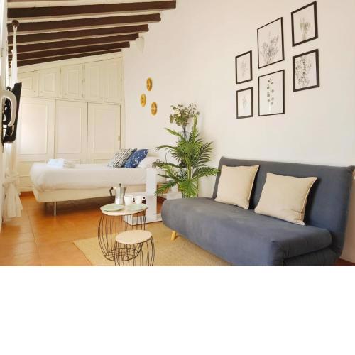 Stunning attic with private terrace and Parking optional