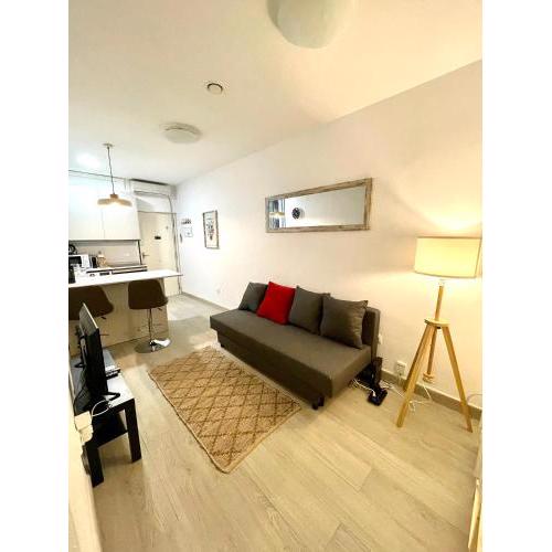 Stylish one bedroom flat in the heart of Madrid
