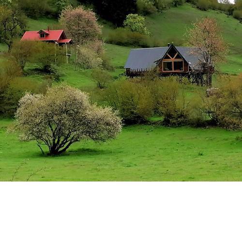 Süllü Dağ Evi