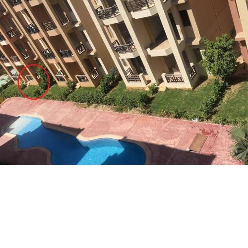 Summer vacation flat