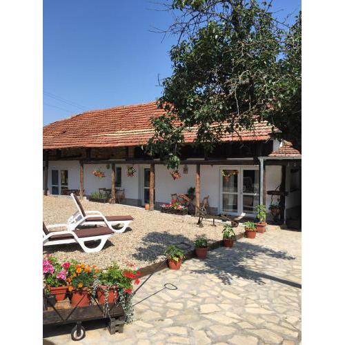 Sunflower Guest House Bulgaria