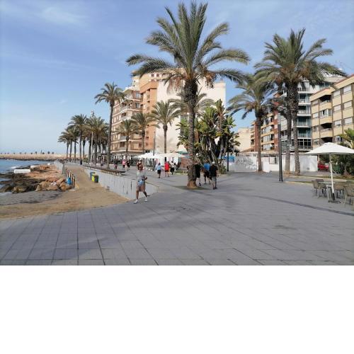Sunny appartment with pool Torrevieja center