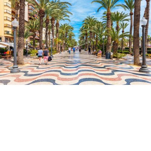 Sunny flat with huge terrace! Close downtown!