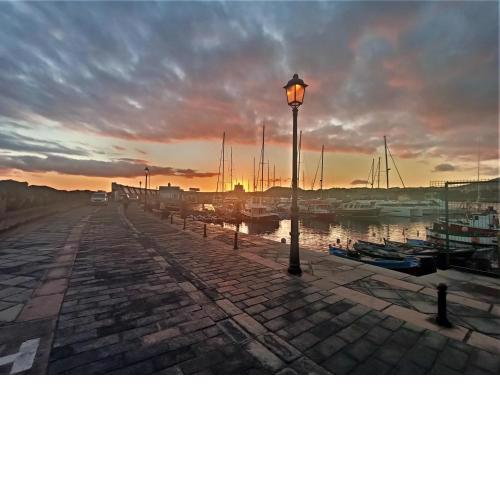 Sunny-Harbour
