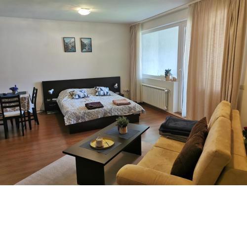 Sunny studio apartment - few steps from Gondola