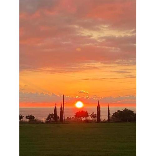 Sunset Boutique Guest House