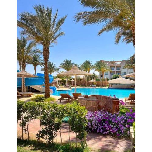 Sunset pearl sahl hasheesh