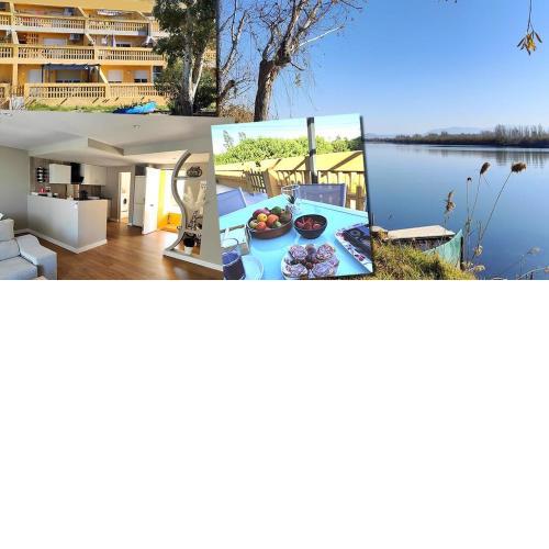 Superbe appartement terrasse entièrement rénové au bord de l'Ebre