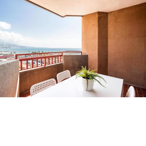 Sur Suites Palmeras 525