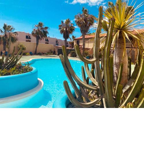 Surf and Chill Bungalow 70