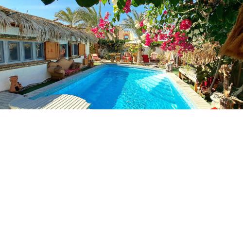 Surfers-Lounge-Dahab Lagoon with Swimming-Pool - Breakfast - Garden - Beduintent - BBQ - Jacuzzi