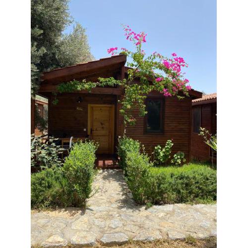 Suzi'nin Bahçesi Bungalov Evler