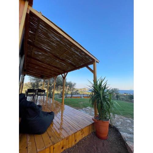 Suzi's Tiny Houses