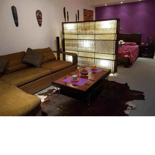 Sylvias art studio apt