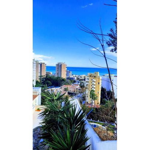 Tamara apartment - elegant with terrace, garden and pool
