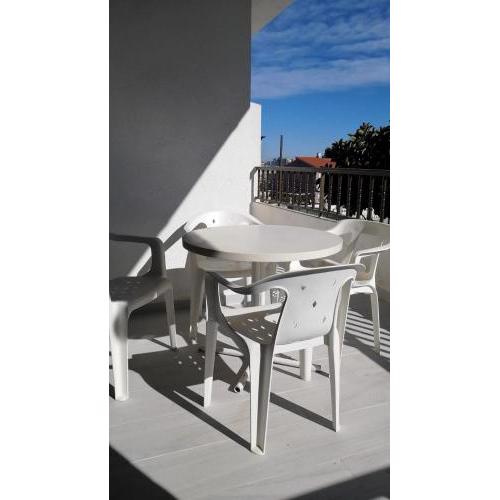 TARONGERS (1)